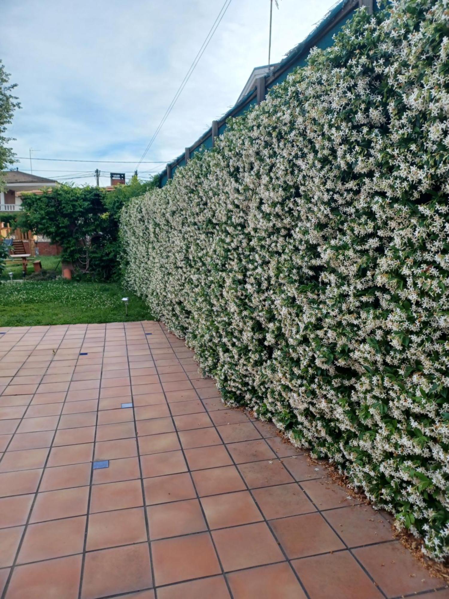 赫罗纳Piscina De Sal Barbacoa Wifi, Parking Gratis, 3 Min Pga Casa El Roble别墅 外观 照片